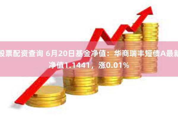 股票配资查询 6月20日基金净值：华商瑞丰短债A最新净值1.1441，涨0.01%