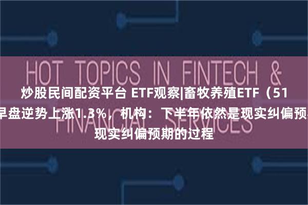 炒股民间配资平台 ETF观察|畜牧养殖ETF（516670）早盘逆势上涨1.3%，机构：下半年依然是现实纠偏预期的过程