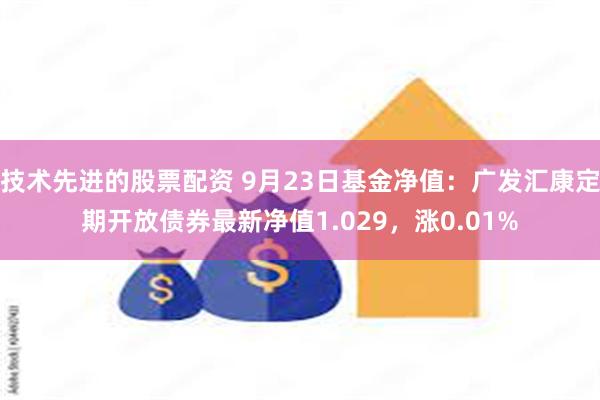 技术先进的股票配资 9月23日基金净值：广发汇康定期开放债券最新净值1.029，涨0.01%