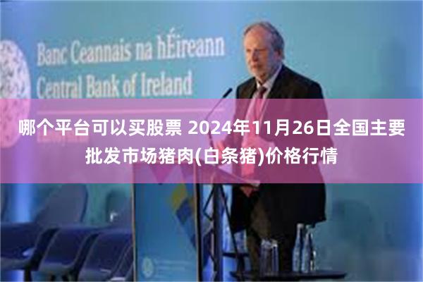 哪个平台可以买股票 2024年11月26日全国主要批发市场猪肉(白条猪)价格行情